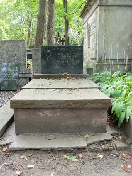 Zdjęcie grobu: Zofia Czyżewska