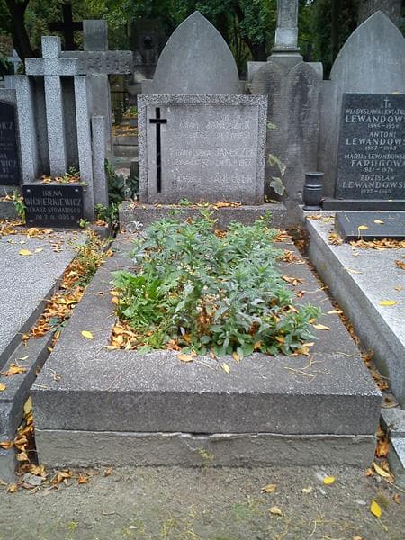 Zdjęcie grobu Tadeusz Janeczek (1)