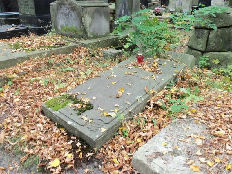Zdjęcie grobu Izabella Czarnowska (2)