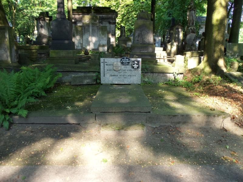 Zdjęcie grobu: Władysława Pfeffer