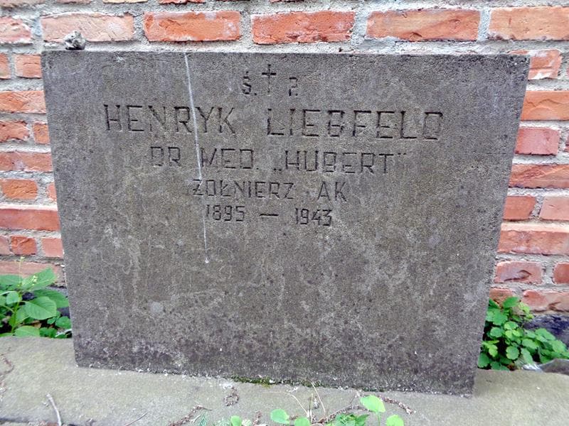 Zdjęcie grobu Henryk Liebfeld (2)