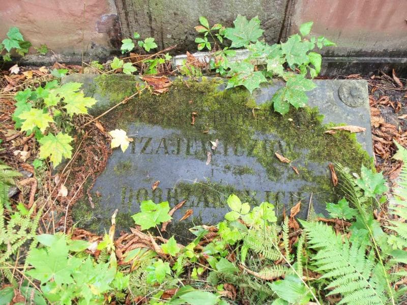 Zdjęcie grobu Jan Dobrzański (1)