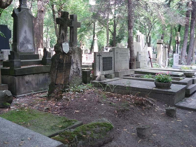 Zdjęcie grobu Maria Przezdziecka (1)