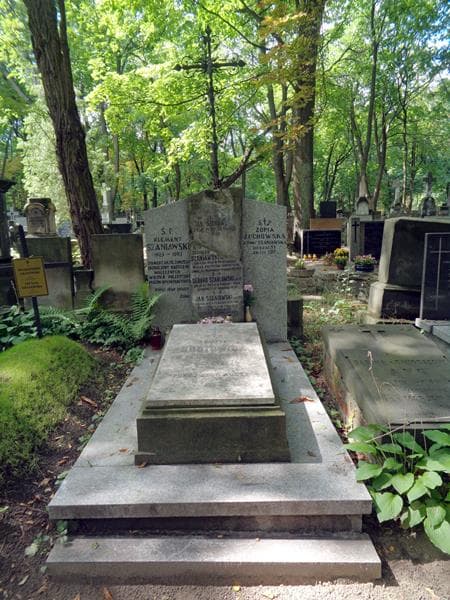 Zdjęcie grobu Aleksander Junosza Szaniawski (1)