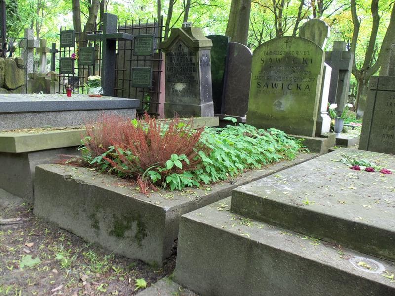 Zdjęcie grobu Tadeusz Kornel Sawicki (1)