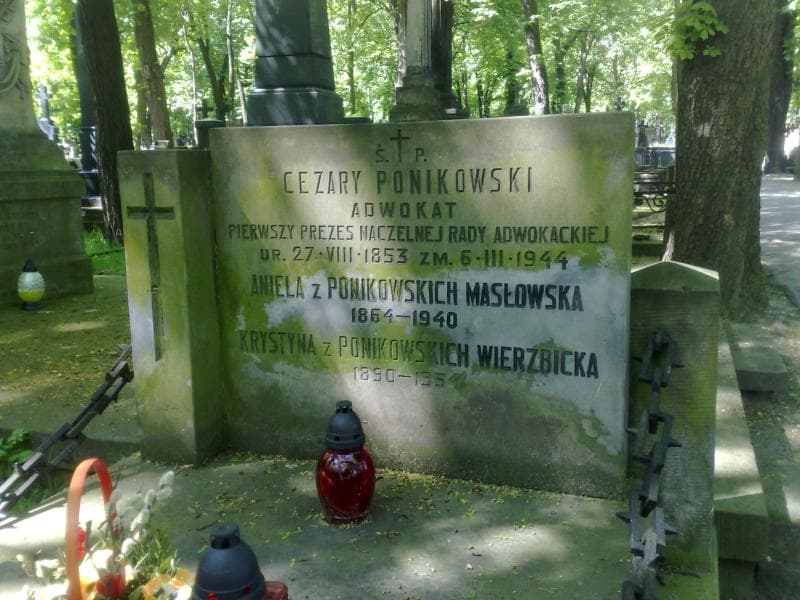 Zdjęcie grobu Aniela Masłowska (2)