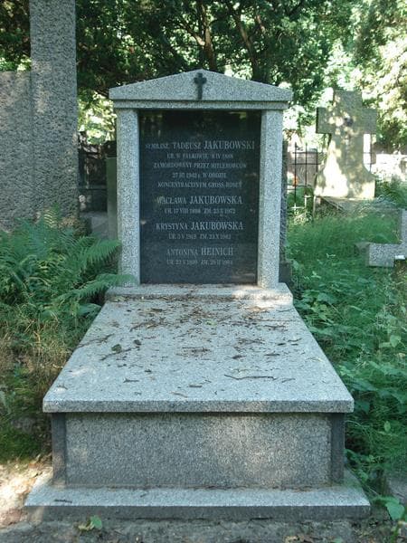 Zdjęcie grobu: Antonina Heinich