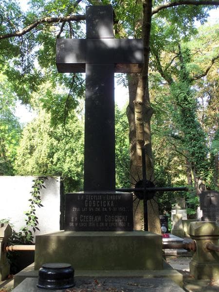 Zdjęcie grobu Juljan Gościcki (2)