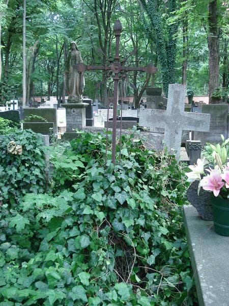 Zdjęcie grobu Ludwik Olszewski (1)