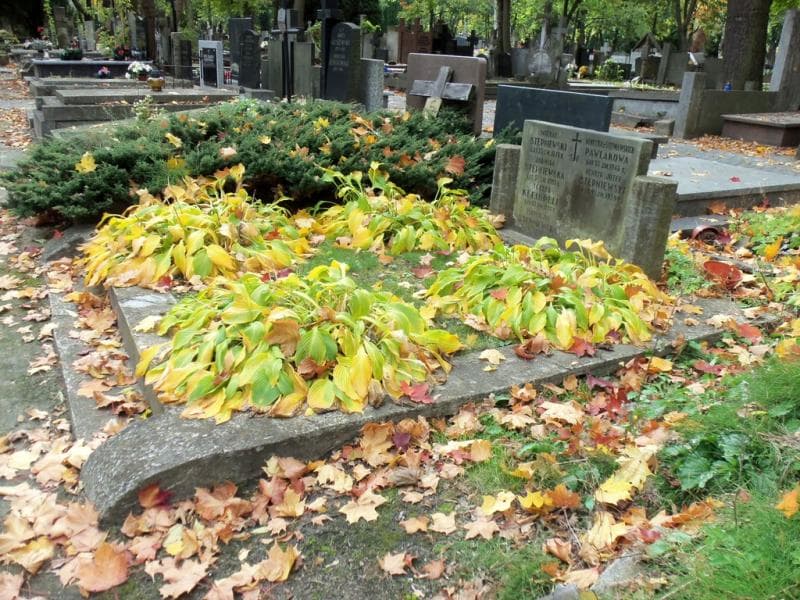 Zdjęcie grobu Henryk Józef Stępniewski (1)
