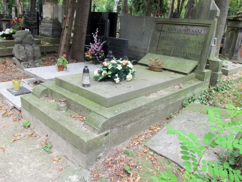 Zdjęcie grobu Anna Gostyńska (1)