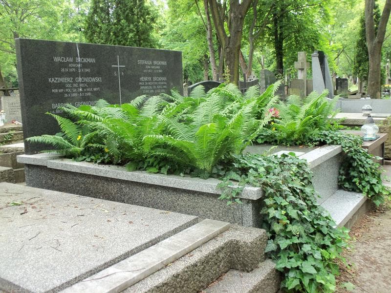 Zdjęcie grobu Henryk Brokman (1)