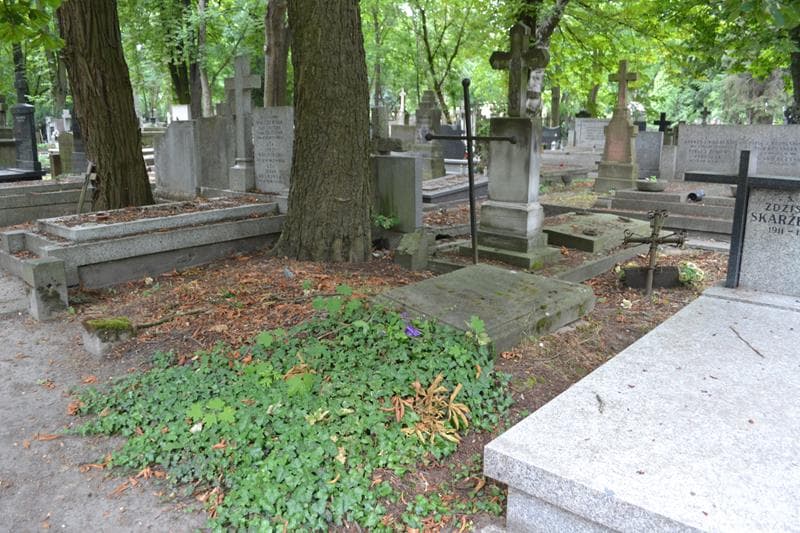 Zdjęcie grobu: Bronisław Zawidzki