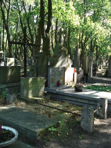 Zdjęcie grobu: Antonina Przepiórka