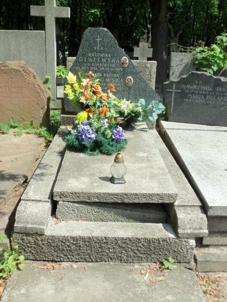 Zdjęcie grobu Antonina Olszewska (1)