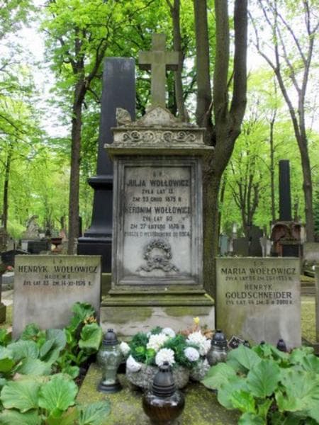 Zdjęcie grobu Henryk Goldschneider (2)