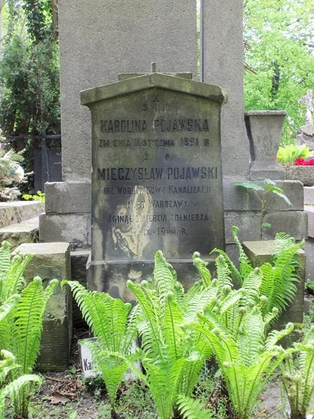 Zdjęcie grobu Karolina Pojawska (2)