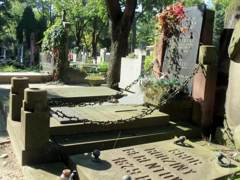 Zdjęcie grobu Zygmunt Budzyński (1)