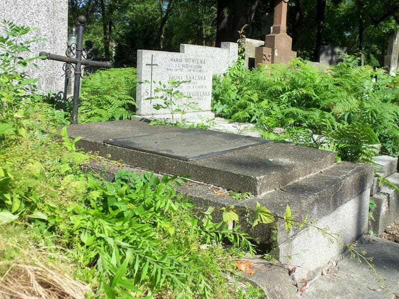 Zdjęcie grobu Włodzimierz Downarowicz (1)