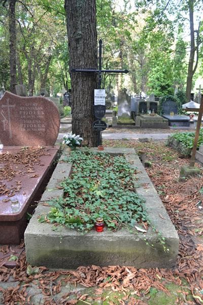 Zdjęcie grobu Wanda Perkowska (1)