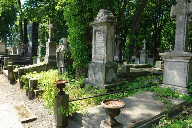 Zdjęcie grobu: Wilhelm Viweger