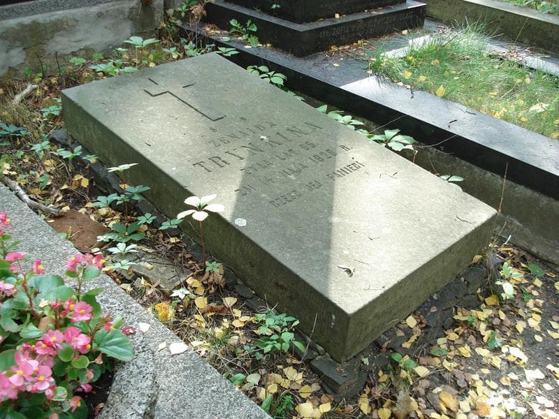 Zdjęcie grobu Zenaida Trynkina (2)
