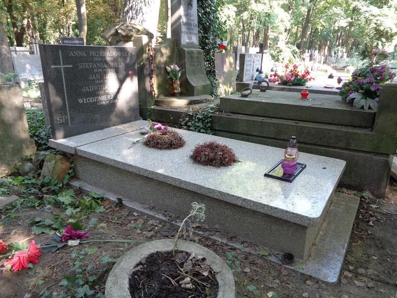 Zdjęcie grobu: Anna Przeradowska