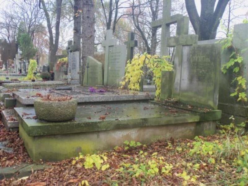 Zdjęcie grobu Stanisław Jarocki (1)