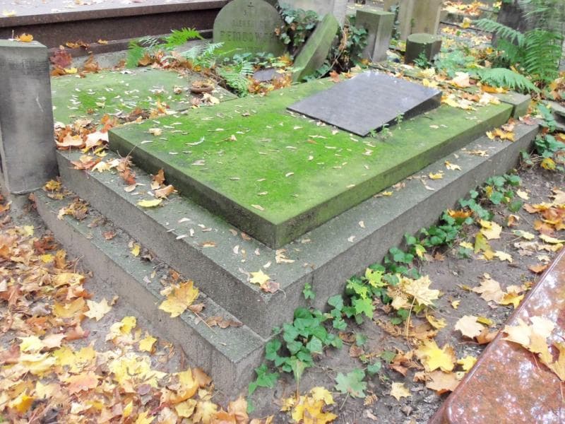 Zdjęcie grobu Stanisław Dziadak Tarnowski (1)