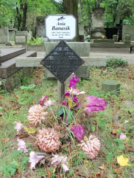 Zdjęcie grobu Anna Banasik (2)