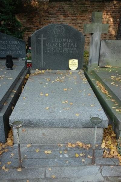 Zdjęcie grobu: Ludwik Rozental