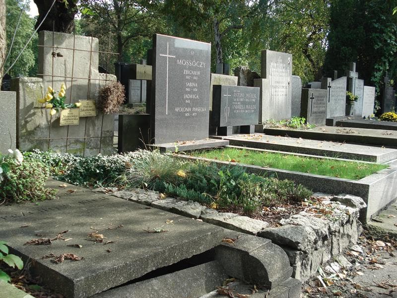 Zdjęcie grobu Maria Mancewicz-Jakubowska (1)