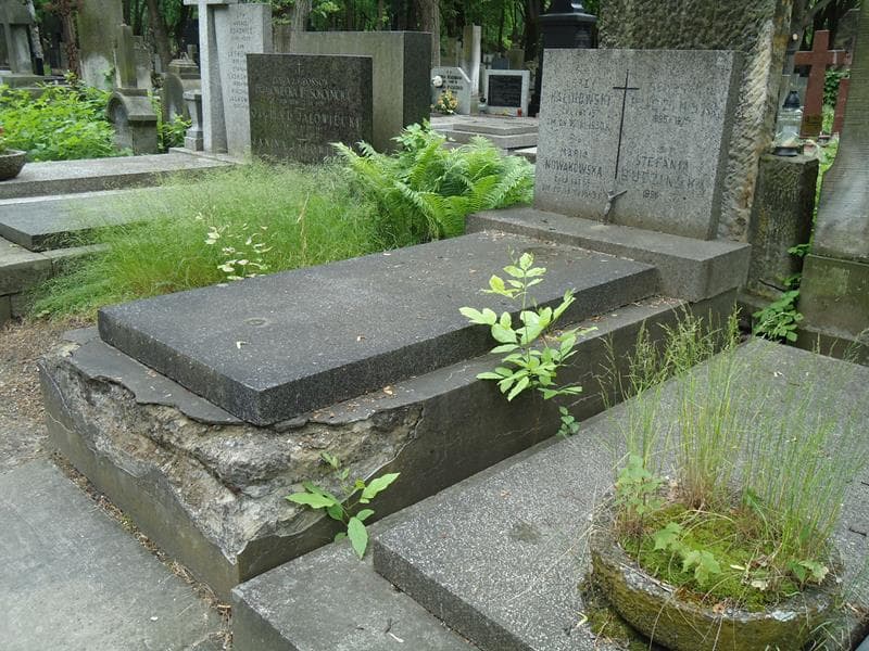 Zdjęcie grobu Maria Nowakowska (1)