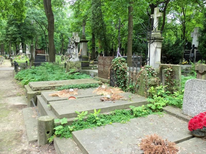 Zdjęcie grobu Irena Krępeciowa (1)