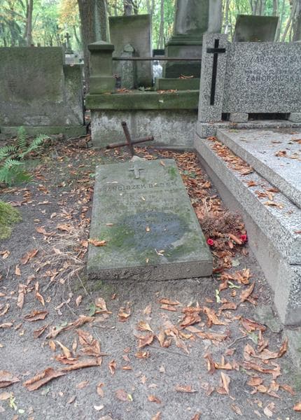 Zdjęcie grobu Franciszek Bader (1)