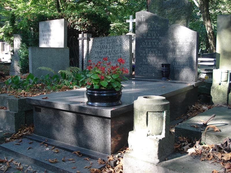 Zdjęcie grobu Stanisław Tyrowicz (1)