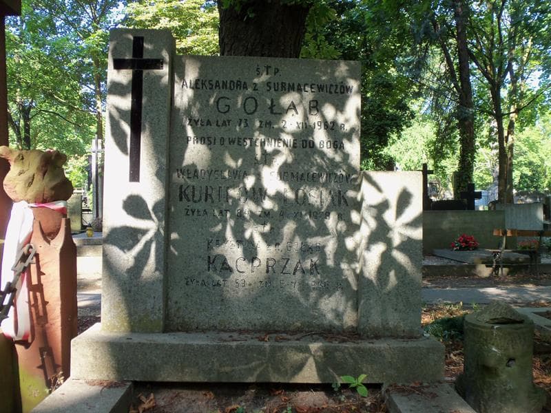 Zdjęcie grobu Aleksandra Gołąb (2)