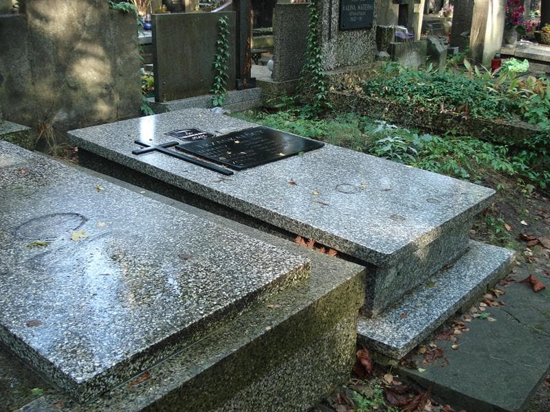 Zdjęcie grobu Wiesław Trzaskalski (2)