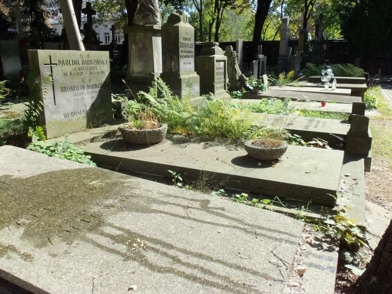 Zdjęcie grobu Władysław Dardziński (1)