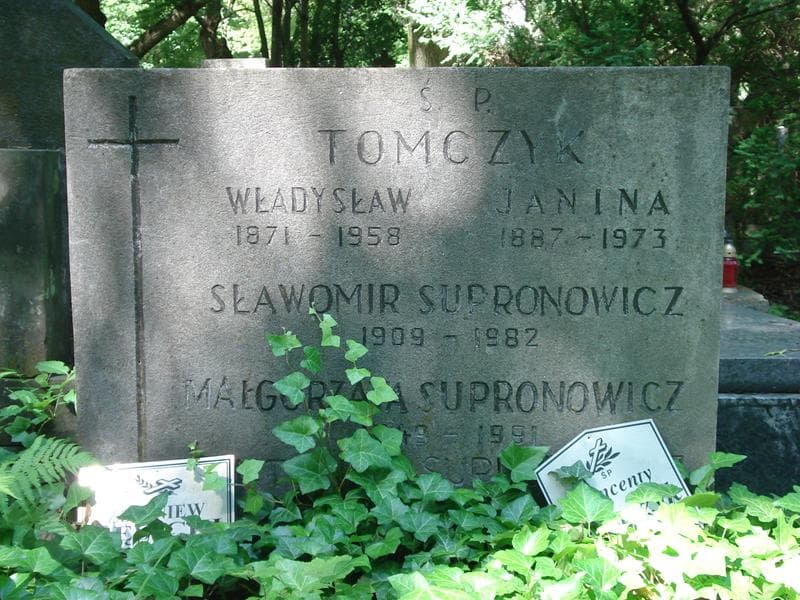 Zdjęcie grobu Wincenty Tomczyk (2)