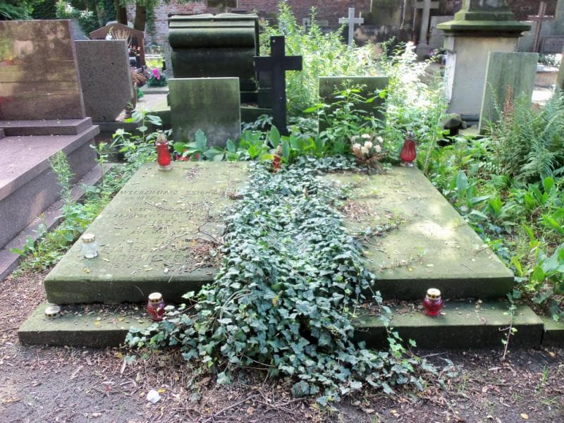 Zdjęcie grobu Zygmunt Targowski (1)