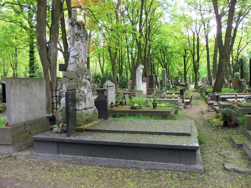 Zdjęcie grobu Wanda Beister (1)