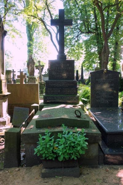 Zdjęcie grobu Wiktor Marcelli Luboradzki (1)