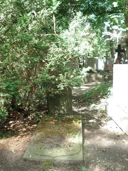 Zdjęcie grobu Jan Augustynowicz (2)