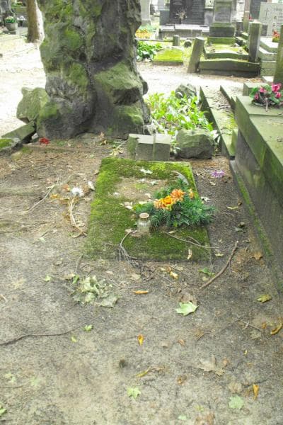 Zdjęcie grobu Bolesław Wolkowski (1)