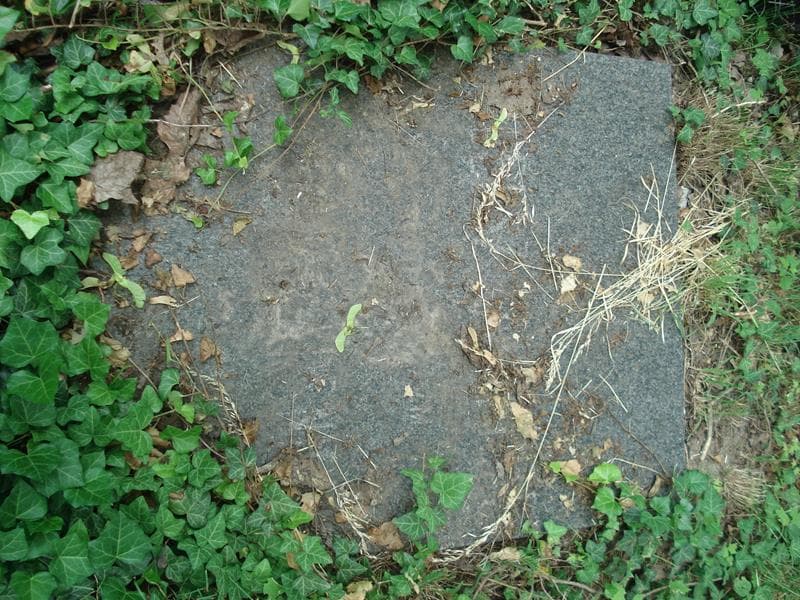 Zdjęcie grobu Jadwiga Laskowska (1)