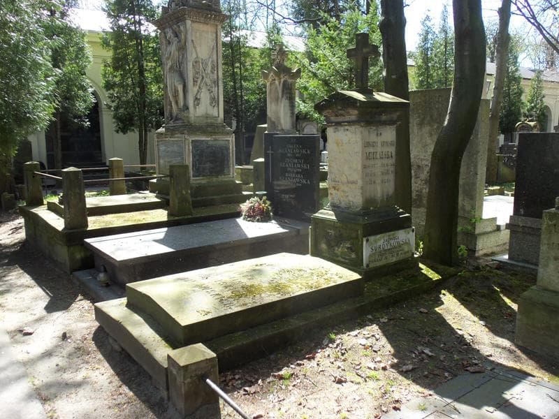 Zdjęcie grobu Karol Michalski (1)
