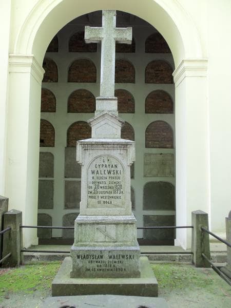 Zdjęcie grobu Roman Walewski (2)