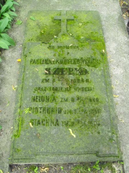 Zdjęcie grobu Stachna Rzepko (1)