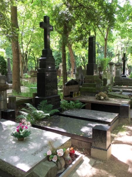 Zdjęcie grobu Karol Noskiewicz (1)